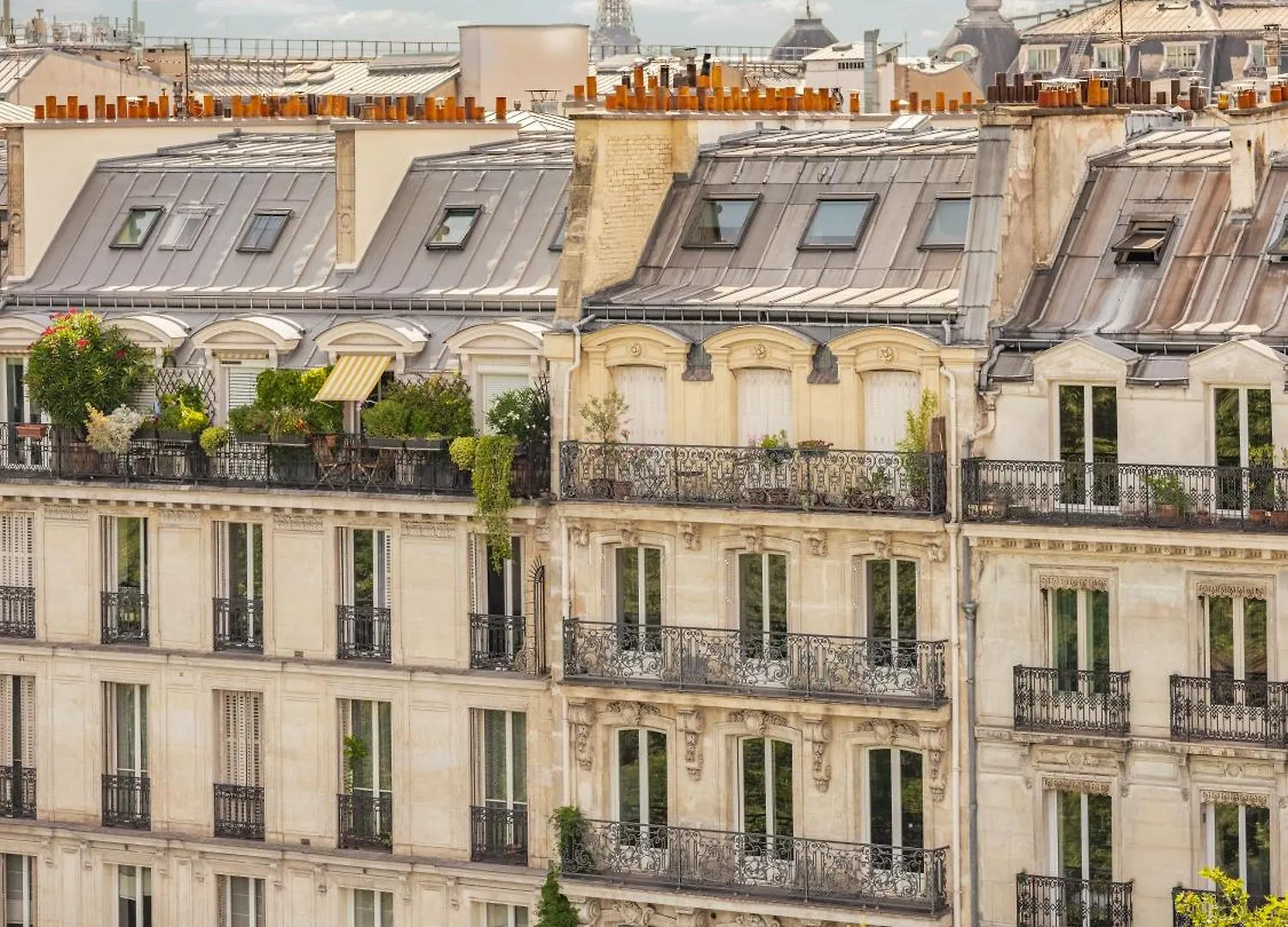 Solly Hotel Paris